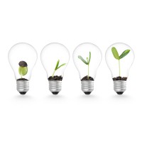 Fractional COO logo - Similar company to Fractional / Interim / Remote Coo/Cmo Chief Operating Officer - Chief Marketing Officer