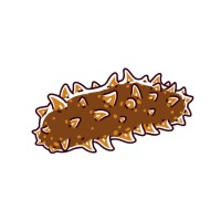 sea cucumber morocco logo - Similar company to Seacucumber Consultancy Pty. Ltd.
