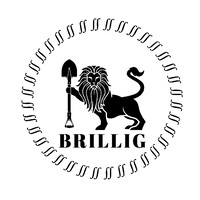 Brillig Mining Corporation