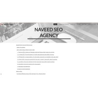 Naveed seo agency logo - Similar company to Freya Digital Service