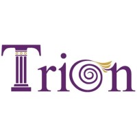 Trion İnşaat Taahhüt ve Ticaret Limited Şirketi logo - Similar company to Eduffe Akademi