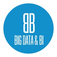 2B Big Data & BI logo - Similar company to Renard Analytics
