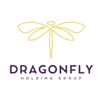 Dragonfly Holding Group logo - Similar company to Broyles & Ricafort Pc