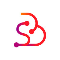 BrainSync logo - Similar company to Rinc Technologies