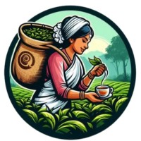 Assam Amrut logo - Similar company to Brahmaputra Rig Service