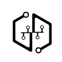 DELYSERV logo - Similar company to Techbeezs Solutions