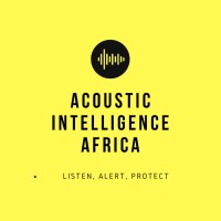 Acoustic Intelligence Africa logo - Similar company to Lets Drift