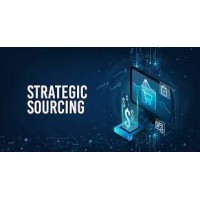 Sourcing & Consulting logo - Similar company to Mms-Engineering Pharma-Process