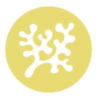 SIMIÆN logo - Similar company to Hanczar Studio