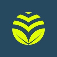 The Padel Academy logo - Similar company to The Academy