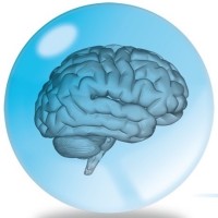 Brainclinics Foundation logo - Similar company to Platoscience