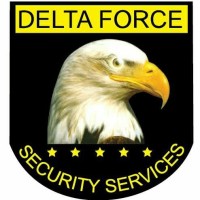 DELTA FORCE SECURITY SERVICES & CONSULTANCY SDN BHD logo - Similar company to Deltaforce Technologies