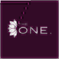 TheONE Consulting logo - Similar company to Sars - Suffolk’S Emergency Medical Charity