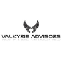 Valkyrie Advisors Llc