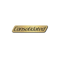 Consolidated logo - Similar company to Cognizoft