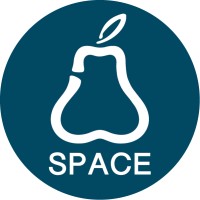 Space Visual Print logo - Similar company to Space Engineering S.P.A.