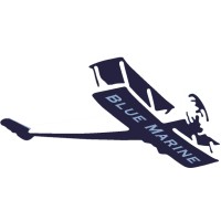 Agence Blue Marine logo - Similar company to Zeste De Com