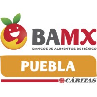 Banco de Alimentos Caritas Puebla logo - Similar company to Red Bamx