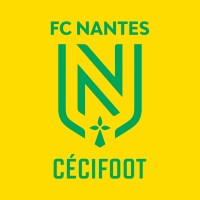 FC Nantes Cécifoot logo - Similar company to Ewave Project