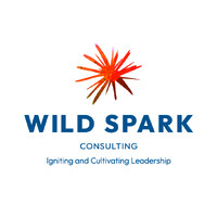 Wild Spark Consulting