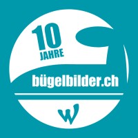 Bügelbilder.ch logo - Similar company to Influ-Scout.Ch