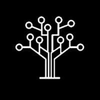 White Birch Technologies logo - Similar company to Datatales