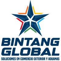 Bintang Global Ventures logo - Similar company to Nicsell