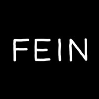 Fein Games logo - Similar company to Inbreak Studios