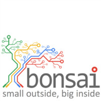 BonsaiTSL logo - Similar company to Pavethechange.Org