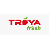 TROYA FRESH logo - Similar company to Web Marketing Research