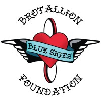 Blue Skies Foundation logo - Similar company to Ves Consulting Group
