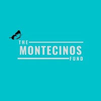 The Montecinos Fund logo - Similar company to Seernova Comics