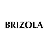 BRIZOLA logo - Similar company to Cia Gêmea