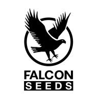 Falcon Seed from ETG logo - Similar company to Etg One Stop Solution App