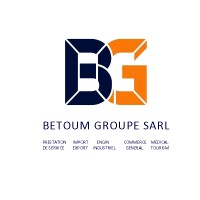 BETOUM GROUPE Sarl logo - Similar company to Institut Informatique Business School