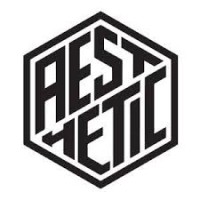 AESTHETIC (Brazilian Jiu Jitsu) logo - Similar company to Punch King Llc