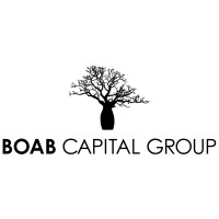 Boab Capital Group logo - Similar company to Fitzpatricks Financial Group