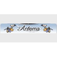 ANFEMA SRL logo - Similar company to イーグル工業（株）