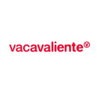 Vacavaliente EU logo - Similar company to Cis21