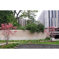 Bora Laskin Law Library