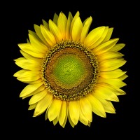 Photopia Editions logo - Similar company to Ryan Pendleton Photography