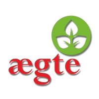 Aegte Lifescience logo - Similar company to Leadwisee I Performance Marketing Agency
