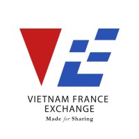 VFEGroup logo - Similar company to Optimal Edge