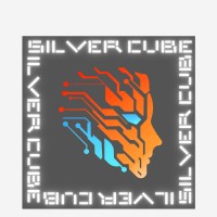 Silver cube commercial logo - Similar company to Avenue Professional