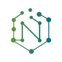 Nethub Group logo - Similar company to Bytebazaar