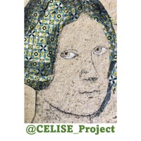 CELISE_project logo - Similar company to Science, Technology, Innovation And Culture Network - Berstic