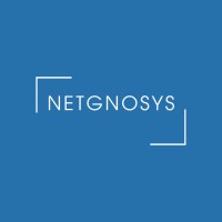 NetGnoSys logo - Similar company to Vesper