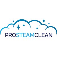 PRO STEAM CLEAN