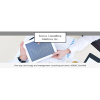 Boston Consulting Solutions Inc logo - Similar company to Indian Journal Of Academic Studies In Law