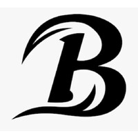 BlackRidge & Co logo - Similar company to Neptune Solution